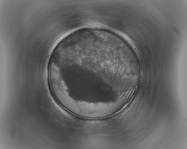 X0000112911335200909211023