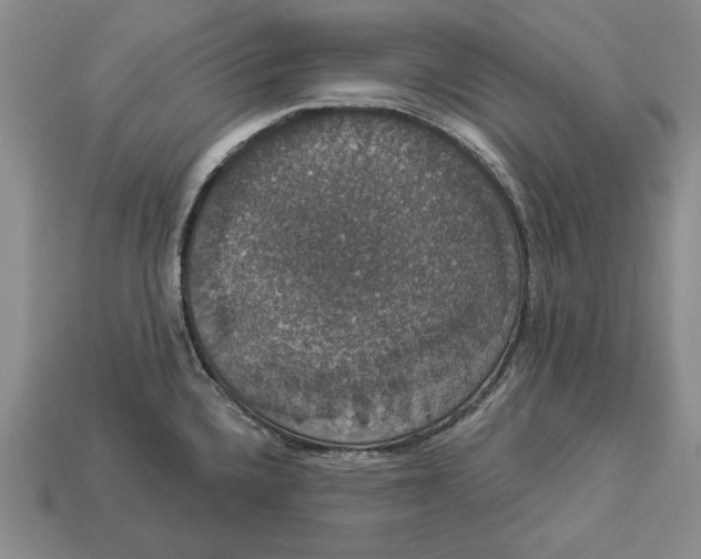 X0000112911336200909211023