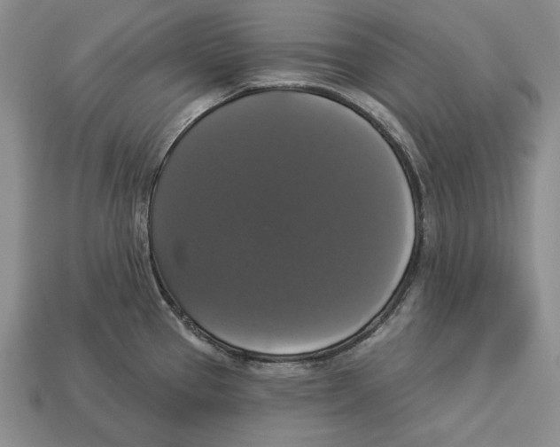 X0000112911337200909211023