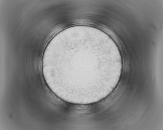 X0000112911338200909211023