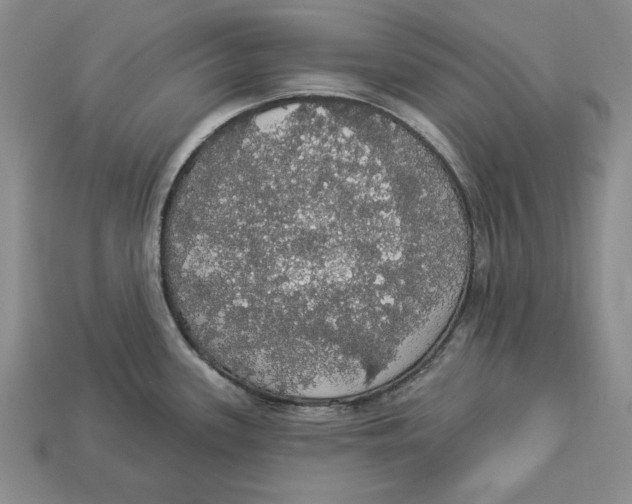 X0000112911339200909211023