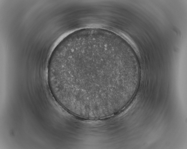 X0000112911340200909211023