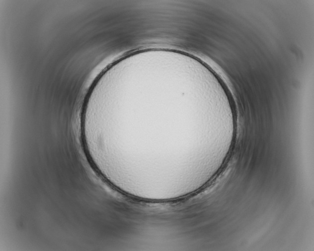 X0000112911341200909211023