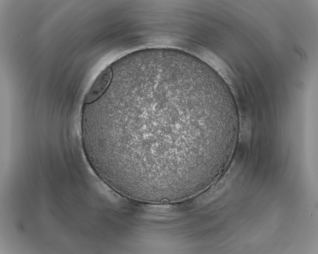 X0000112911342200909211023