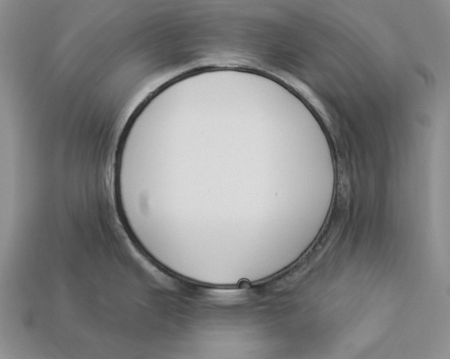 X0000112911343200909211023