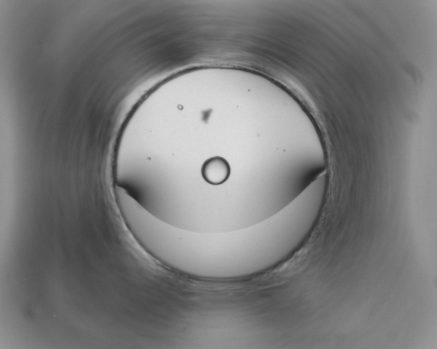 X0000112911344200909211023