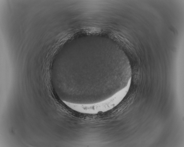 X0000112911345200909211022