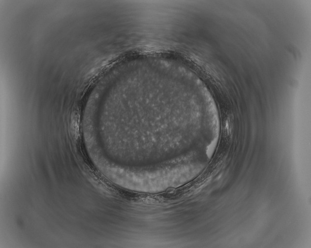 X0000112911348200909211022