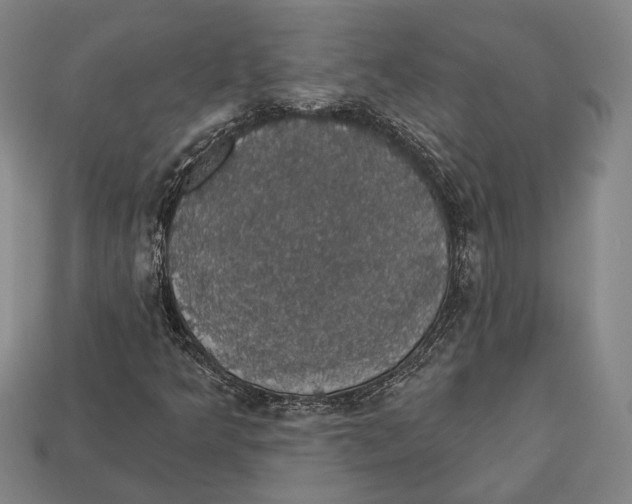 X0000112911349200909211022