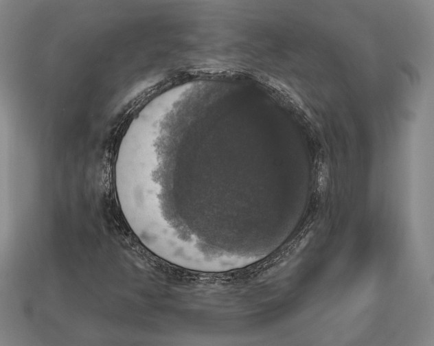 X0000112911350200909211022