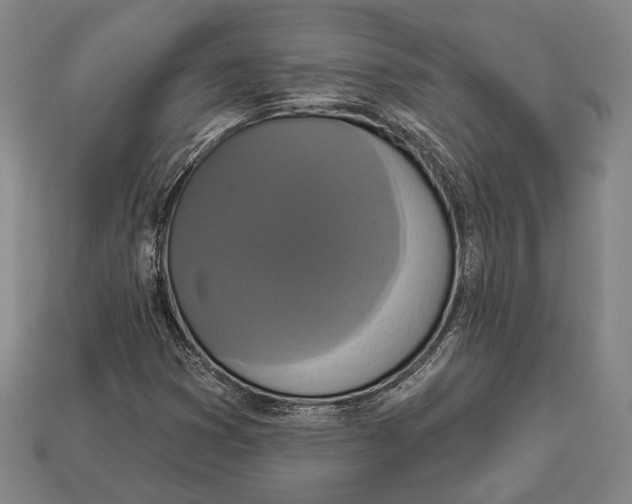 X0000112911353200909211022