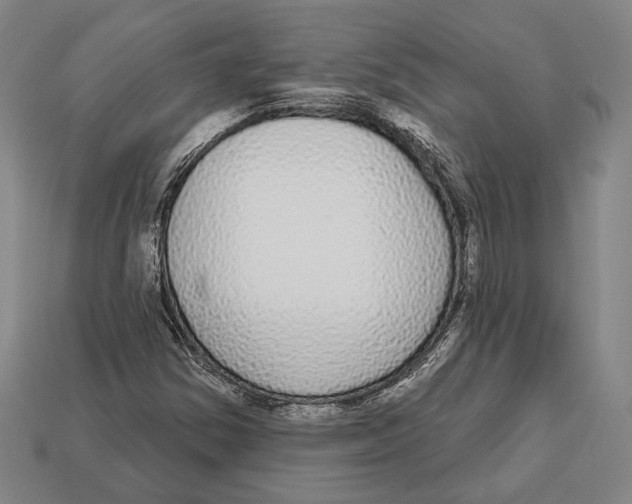 X0000112911354200909211022