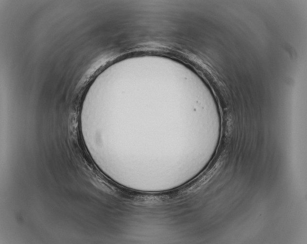 X0000112911355200909211022