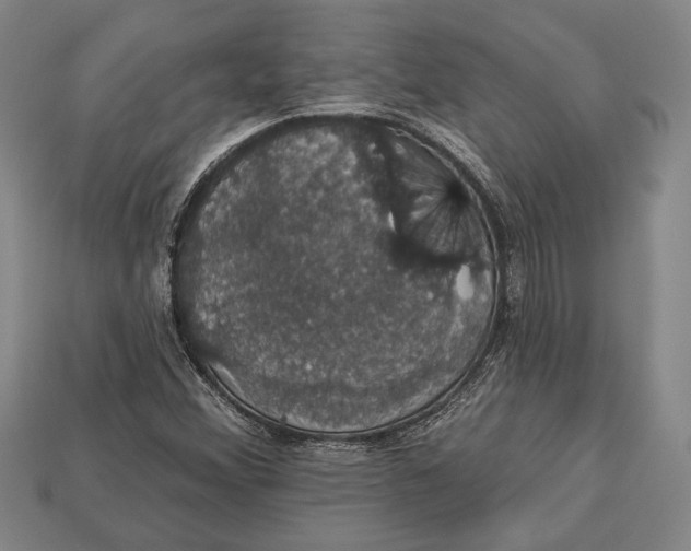 X0000112911356200909211022