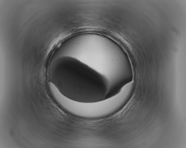 X0000112911357200909211022