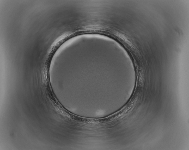 X0000112911358200909211022