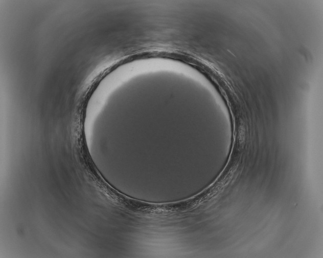 X0000112911359200909211022