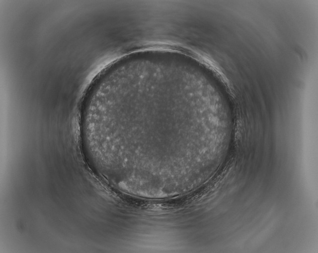 X0000112911360200909211022