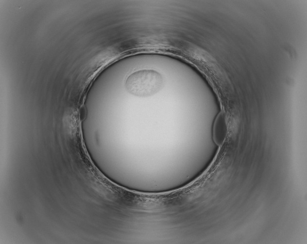 X0000112911361200909211022