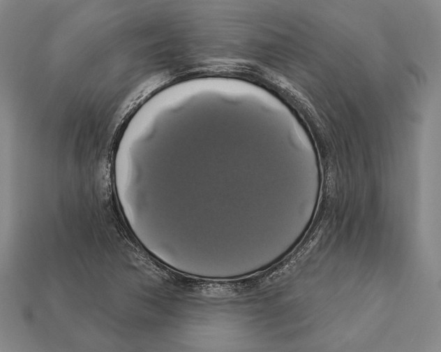 X0000112911362200909211022