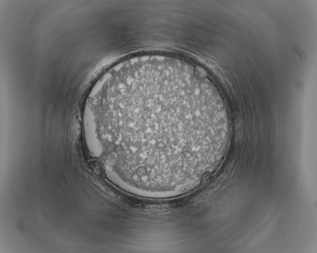 X0000112911363200909211022