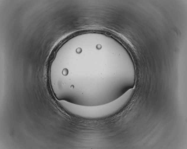 X0000112911364200909211022