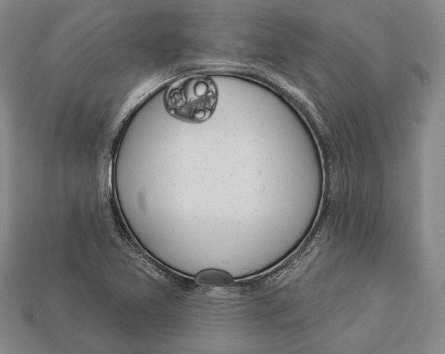 X0000112911365200909211022