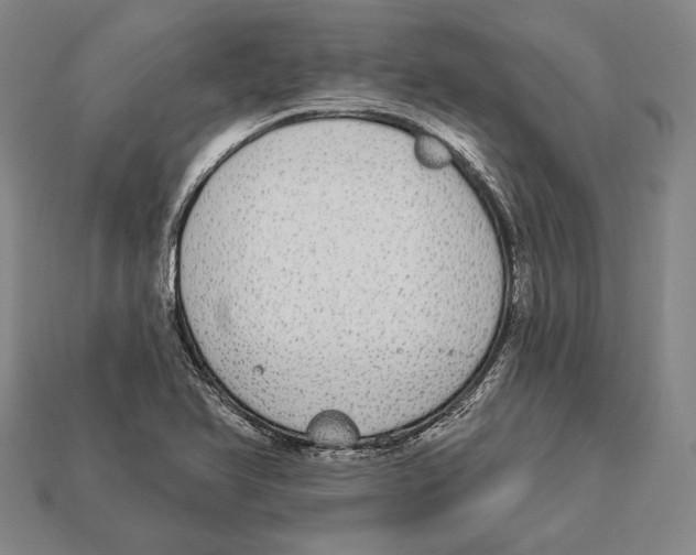 X0000112911366200909211022