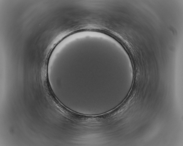 X0000112911367200909211022