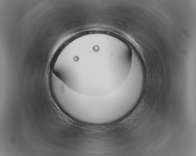 X0000112911368200909211022