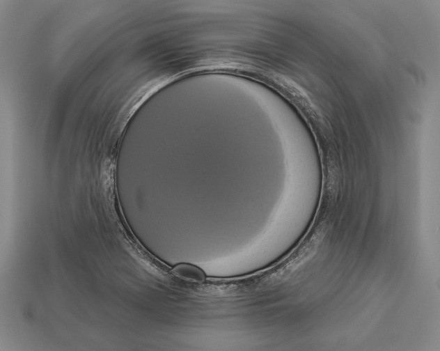 X0000112911369200909211022