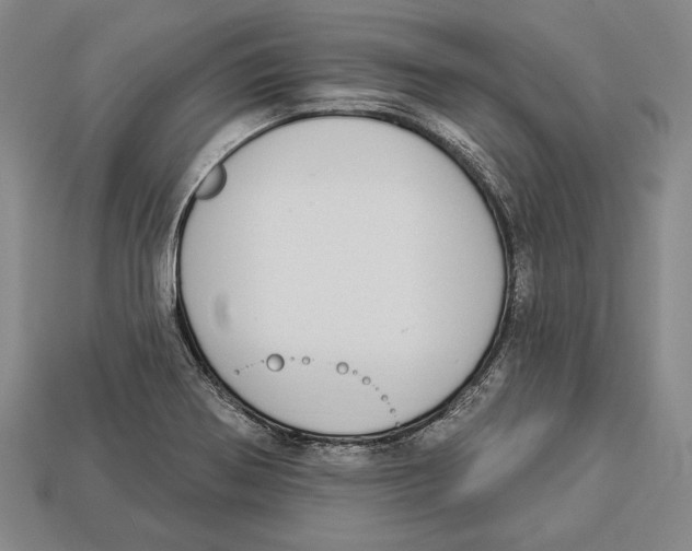 X0000112911370200909211022