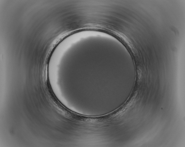 X0000112911371200909211022