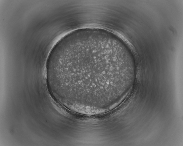 X0000112911372200909211022