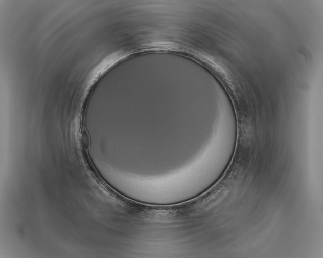 X0000112911373200909211022