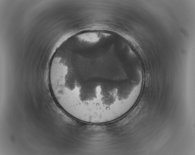 X0000112911374200909211022