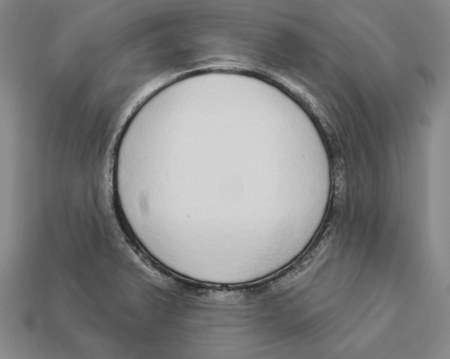 X0000112911375200909211022