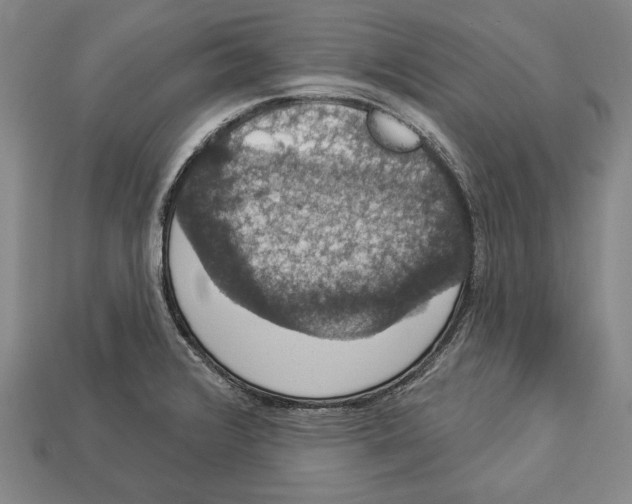 X0000112911376200909211022