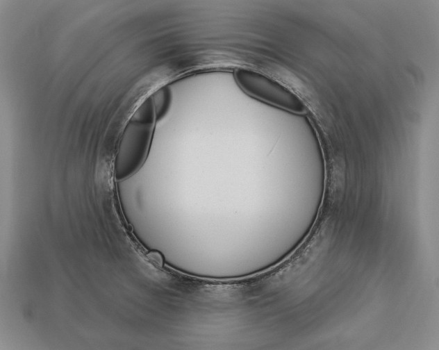 X0000112911377200909211022