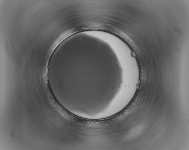 X0000112911378200909211022