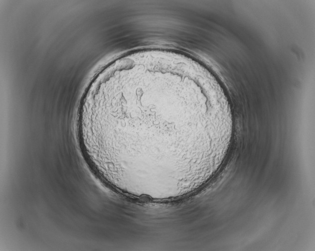 X0000112911379200909211022