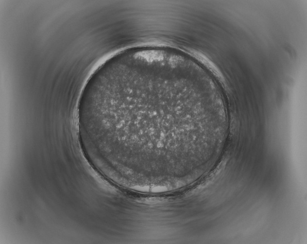 X0000112911380200909211022