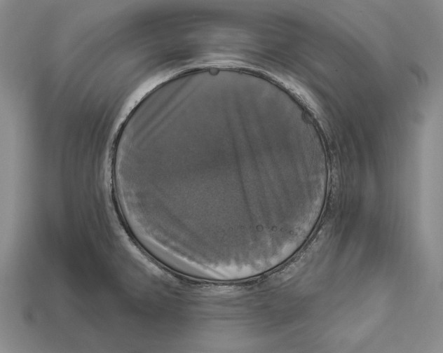 X0000112911382200909211022