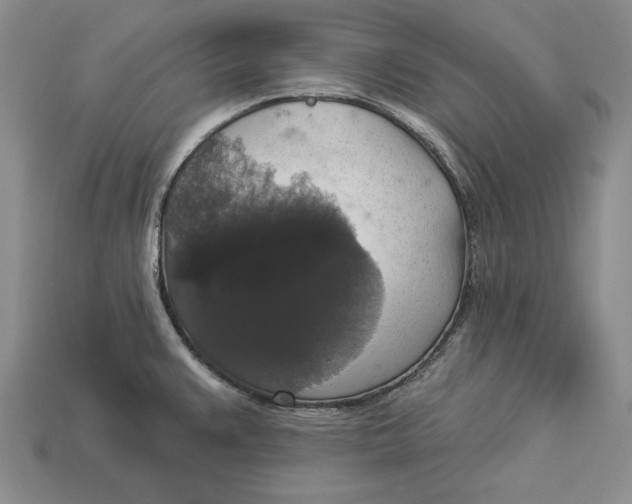 X0000112911383200909211022