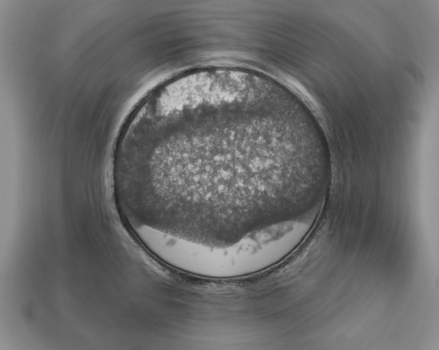 X0000112911384200909211022