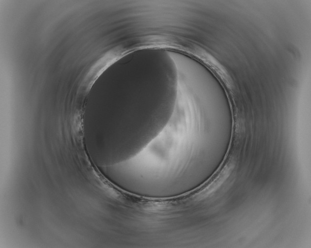 X0000112911385200909211022