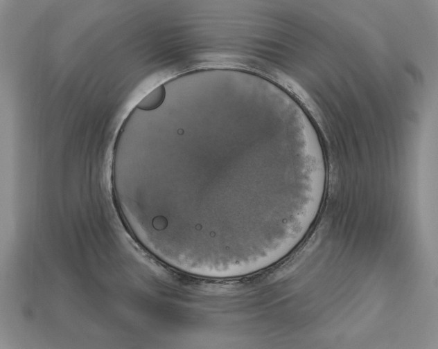 X0000112911386200909211022