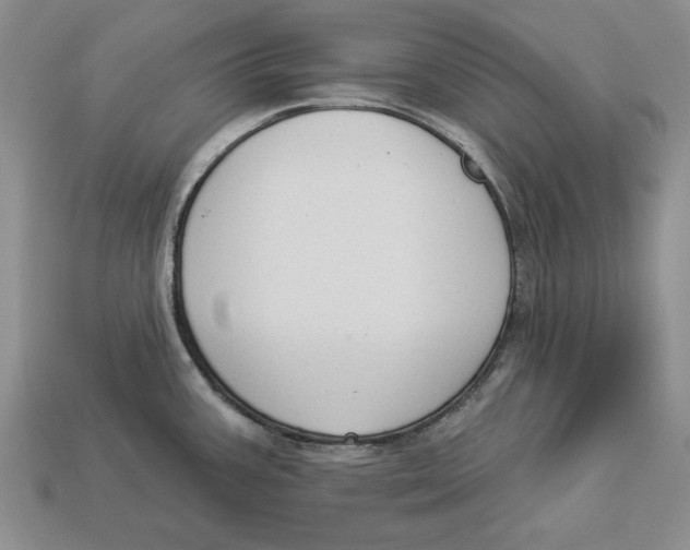 X0000112911387200909211022