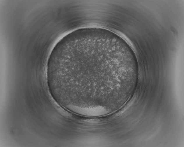 X0000112911388200909211022