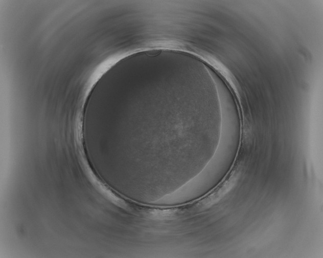 X0000112911389200909211022